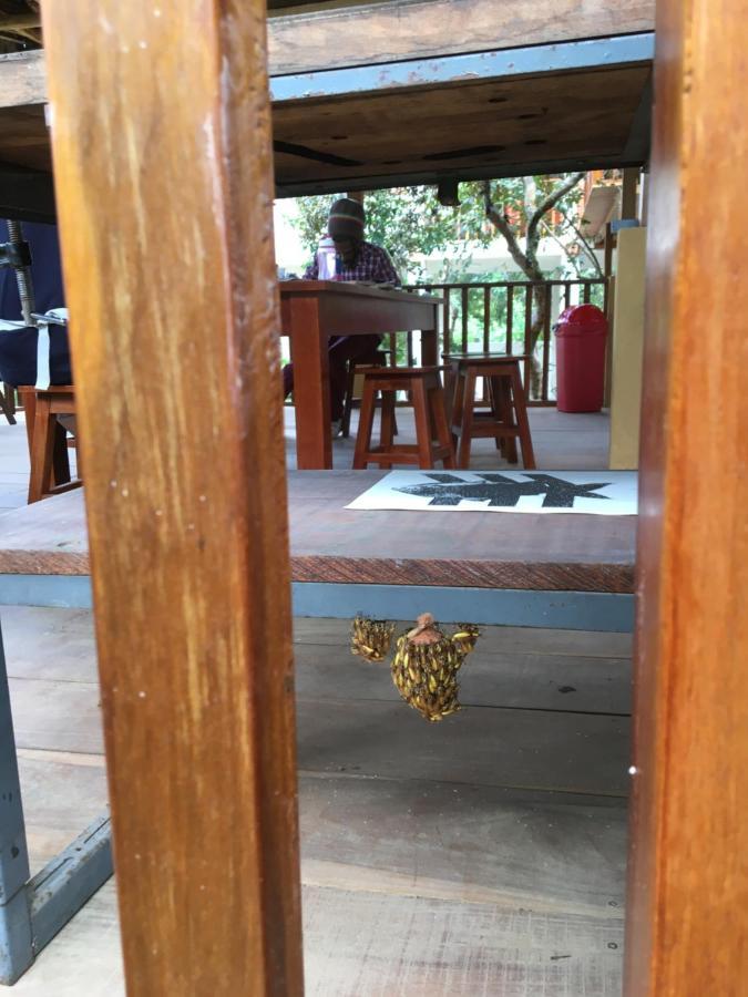 Indano Art Lodge Lamas Ngoại thất bức ảnh
